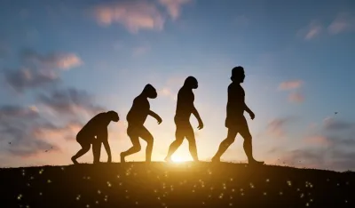 evolucija, ilustracija