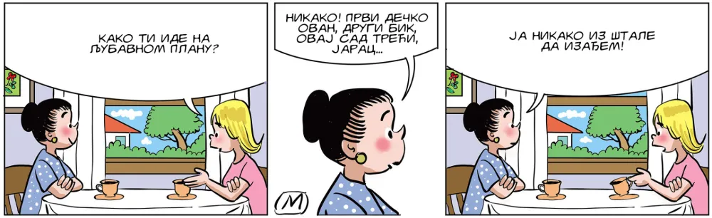 Strip Dana - Autor: Mirko Zulić