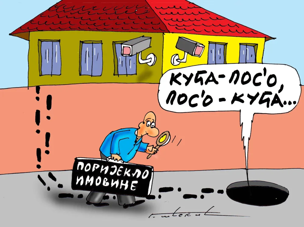 Karikatura Dana - Autor: Goran &Scaron;ćekić