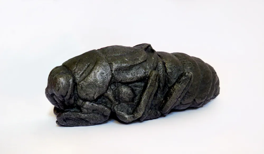 Crnogorske vajarke na radionici u Slovačkoj