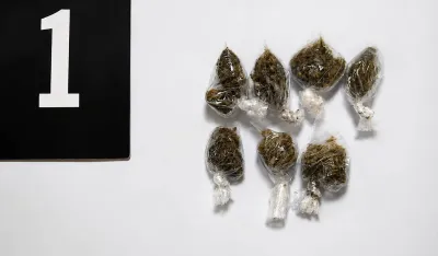 Zaplijenjena marihuana