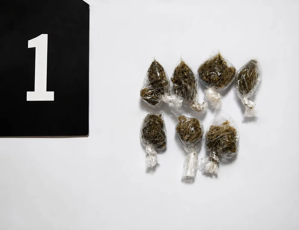 Zaplijenjena marihuana