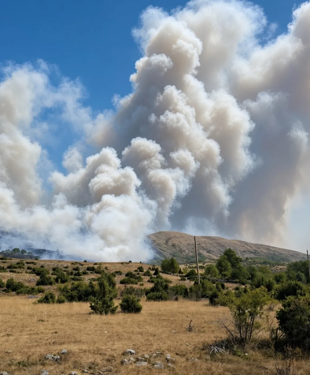 &Scaron;avnik: Vatrogasci bez predaha, sumnja se na podmetanje