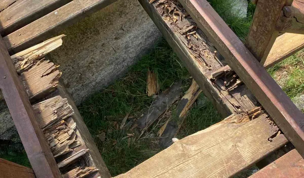 Zelena oaza Nik&scaron;ića ponovo na meti vandala: Mjesna zajednica traži hitnu za&scaron;titu parka Blace
