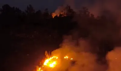 Posljedice klimatskih promjena sve izraženije: Suša rasplamsava požare i desetkuje prinose
