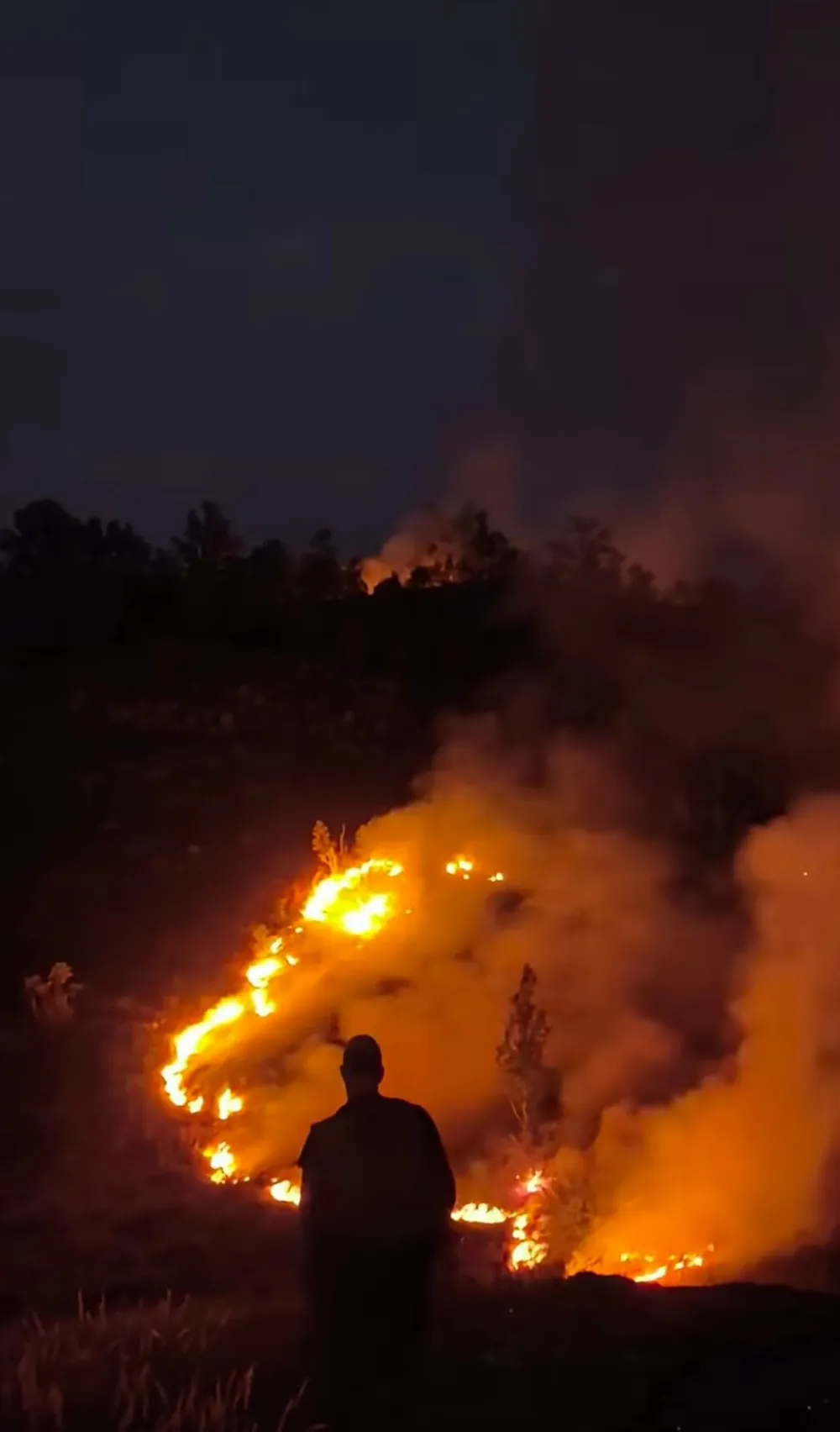 Posljedice klimatskih promjena sve izraženije: Su&scaron;a rasplamsava požare i desetkuje prinose