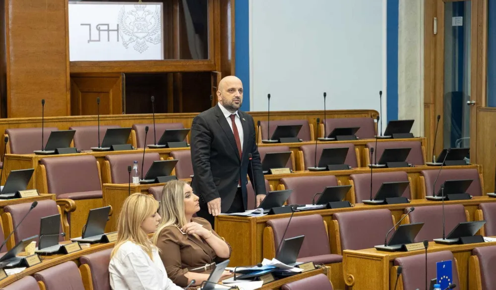 (VIDEO) Božović: Zakon ima mehanizme za kontrolu zloupotreba