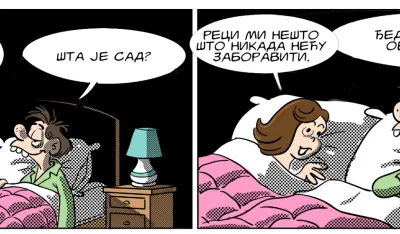 Strip Dana - Autor: Mirko Zulić
