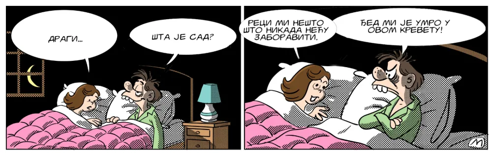 Strip Dana - Autor: Mirko Zulić