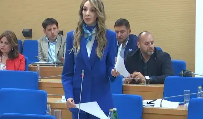 Ana Krivokapić