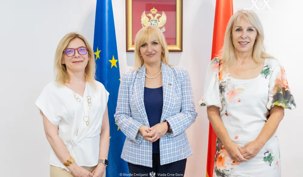 Borovinić Bojović: Telemedicinom do dostupnije zdravstvene za&scaron;tite u udaljenim područjima