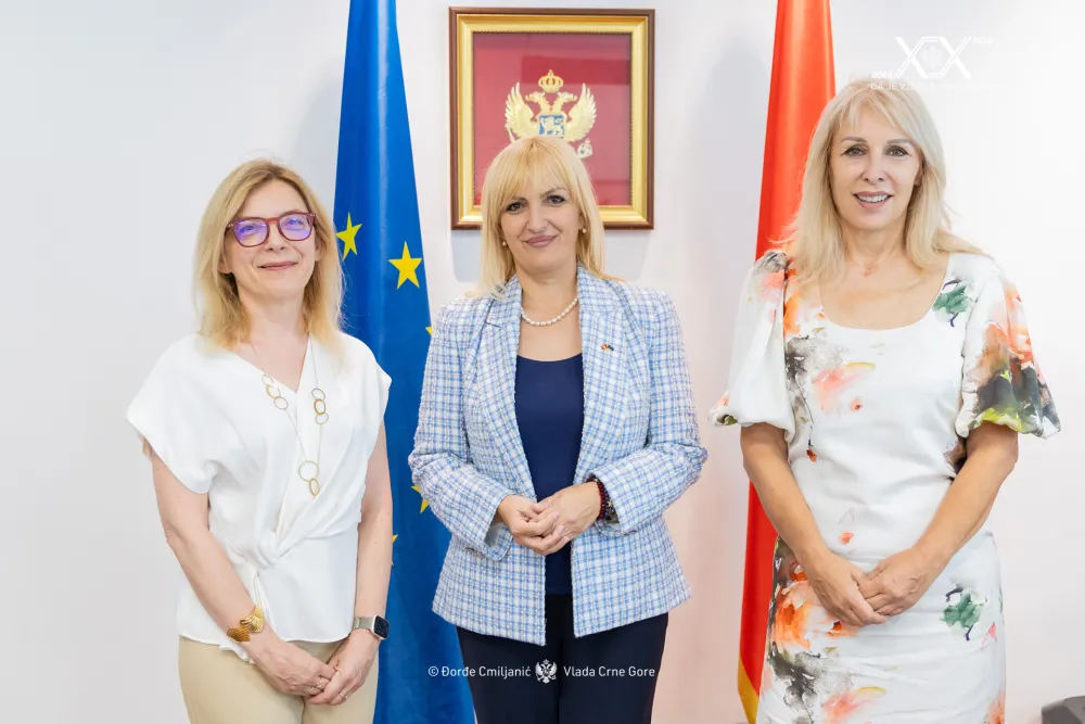 Borovinić Bojović: Telemedicinom do dostupnije zdravstvene za&scaron;tite u udaljenim područjima