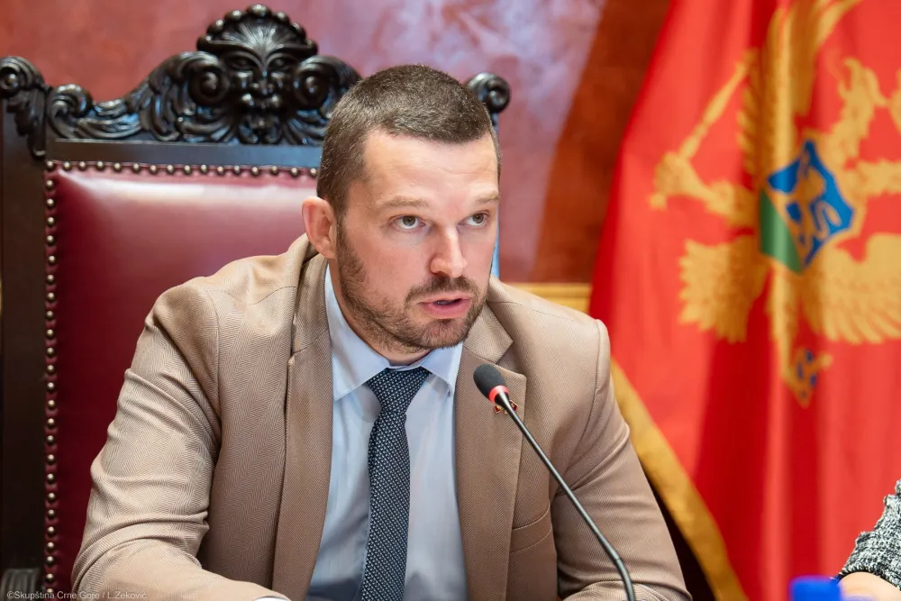 Novi model oduzimanja imovine stečene kriminalnom: Panika među kriminalcima, nervoza među parlamentarcima