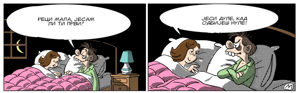 Strip Dana - Autor: Mirko Zulić