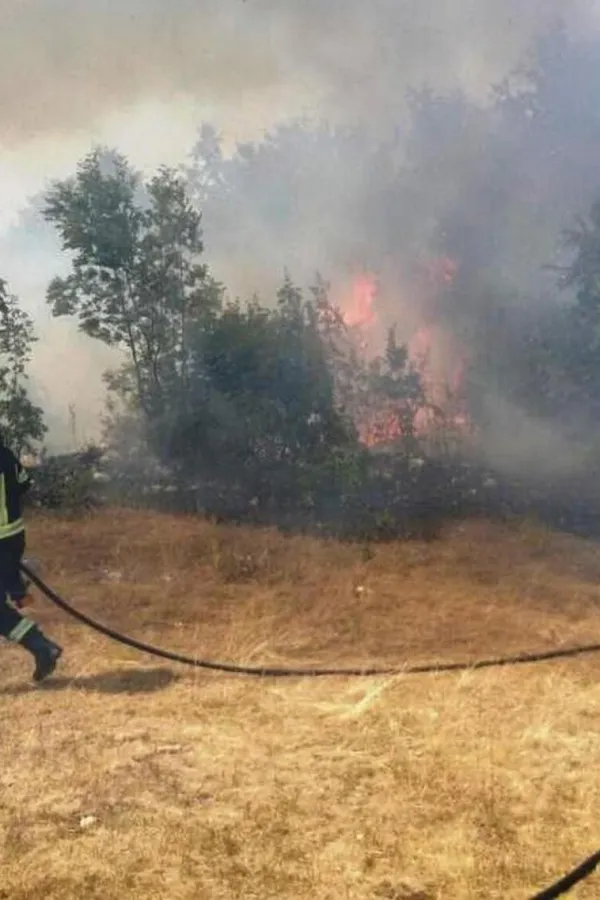 Tripković: Borba sa požarom na Lukavici, na ostalim lokalitetima stanje podno&scaron;ljivo