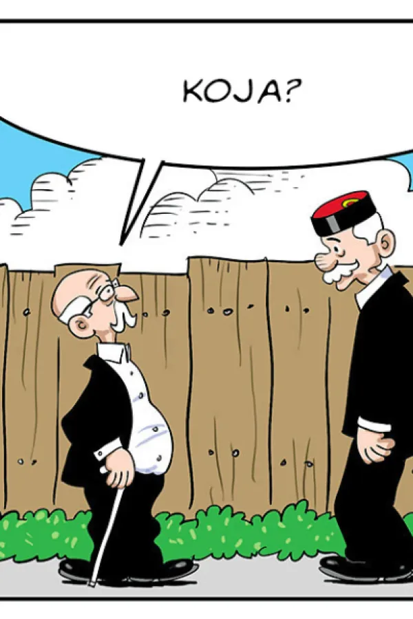 Strip Dana - Autor: Mirko Zulić