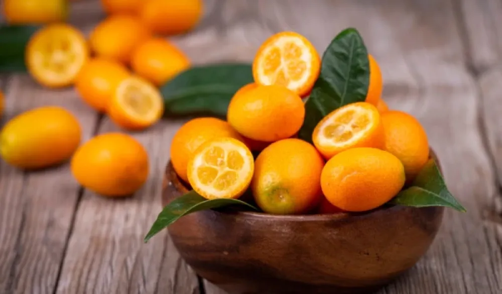 Ovaj mali citrusni plod je pun vitamina C: Mnogi nisu ni čuli za njega, a uskoro mu počinje sezona