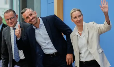 DW: Šta stoji iza rekordne pobjede AfD-a