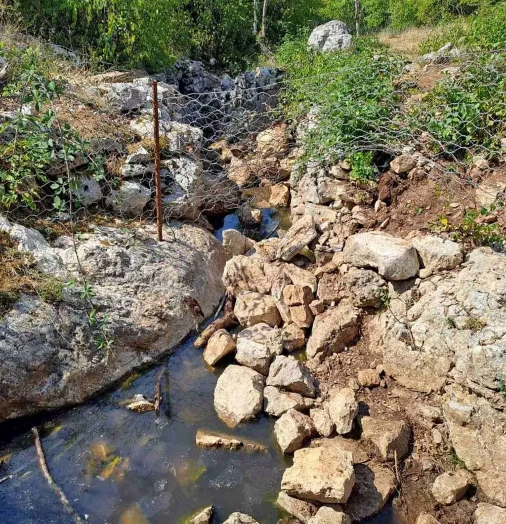 Vandalizam i nemar u Gornjim Trepčima: Lutajuća stoka hara selom