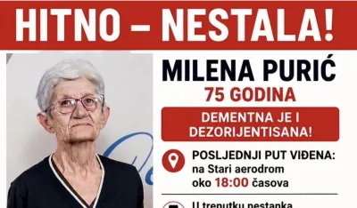 Milena Purić, nestanak