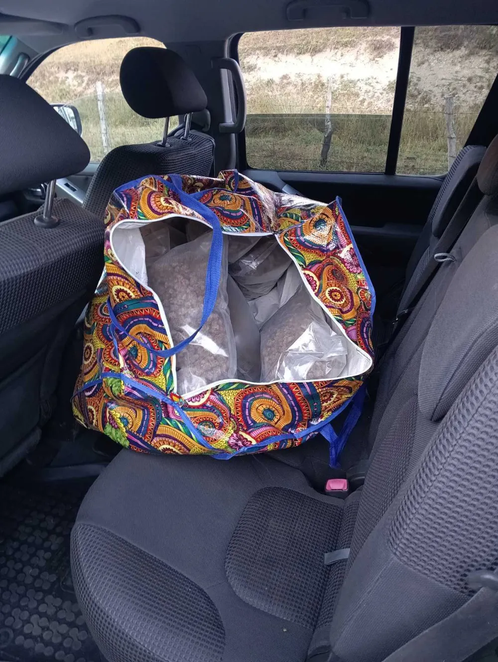 Zaplijenjeno vi&scaron;e od 11 kilograma marihuane