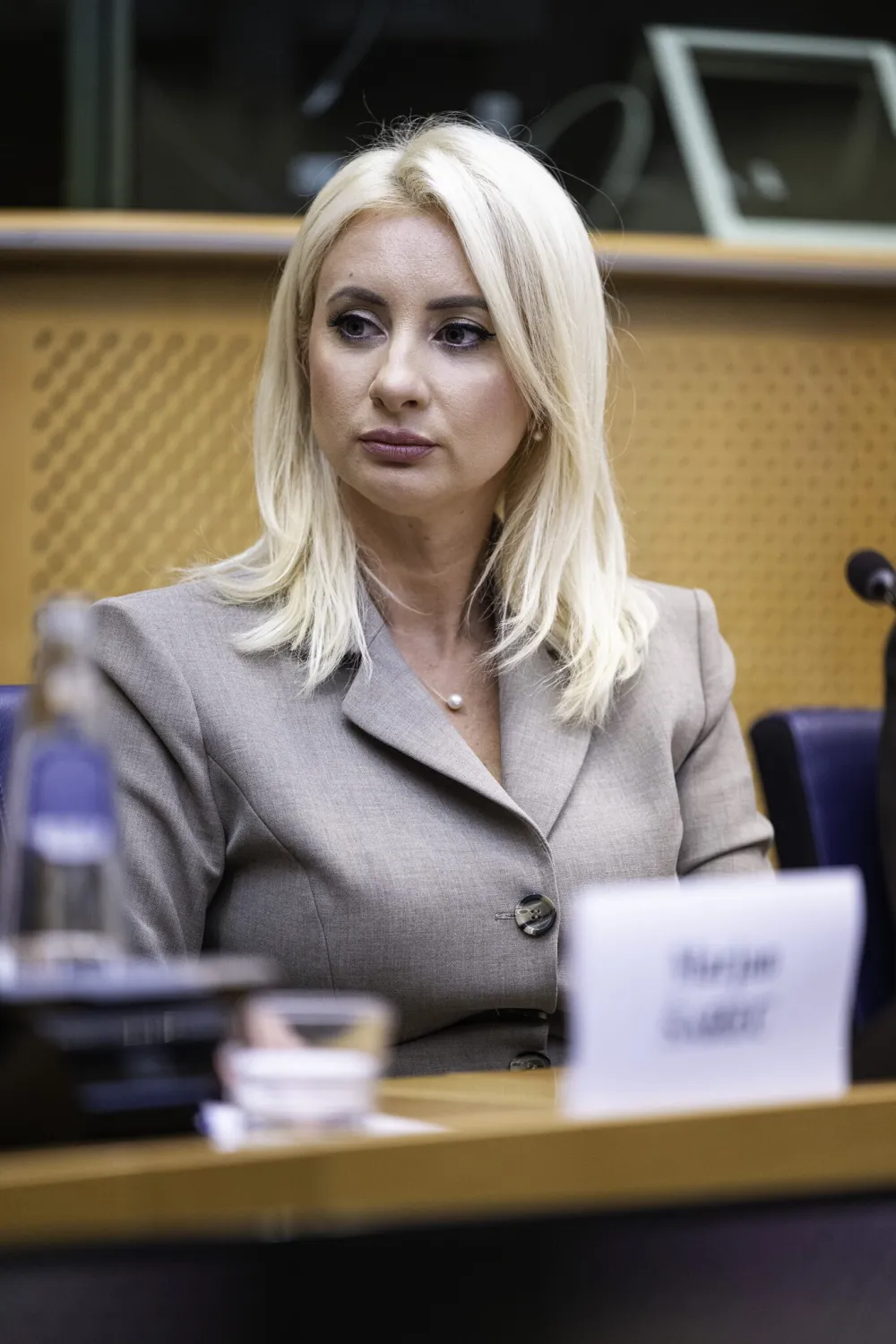 Gorčević u EP: Zajedno možemo učiniti da pristupanje Crne Gore bude ne samo državni, već i evropski uspjeh