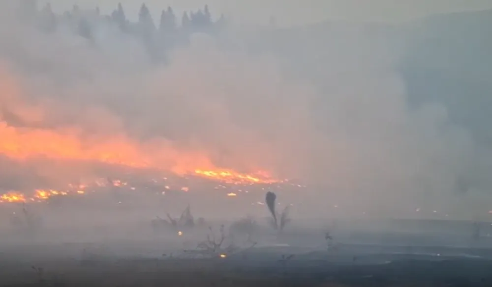 Pljevaljski vatrogasci gase požare na vi&scaron;e lokacija, najteže u reonu sela Čavanj