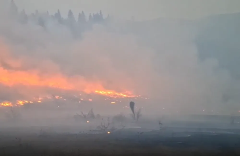 Pljevaljski vatrogasci gase požare na vi&scaron;e lokacija, najteže u reonu sela Čavanj