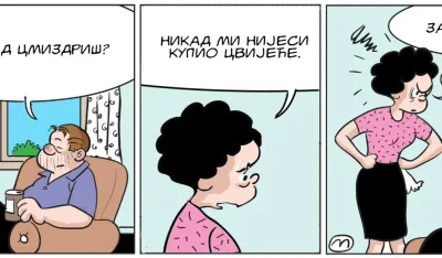 Strip Dana - Autor: Mirko Zulić