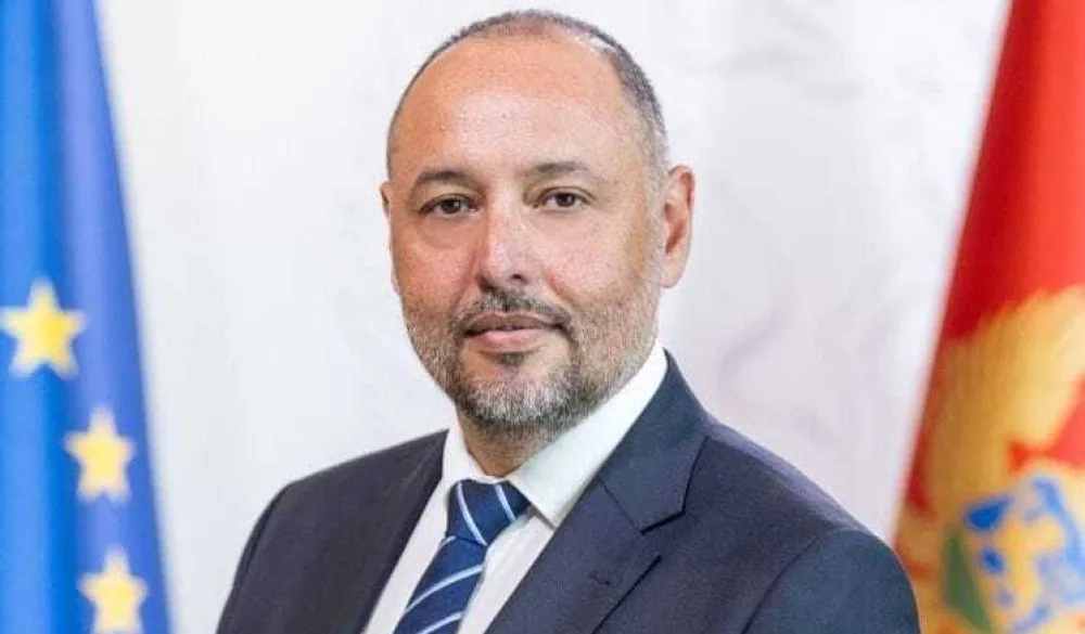 Nenad Vitomirović