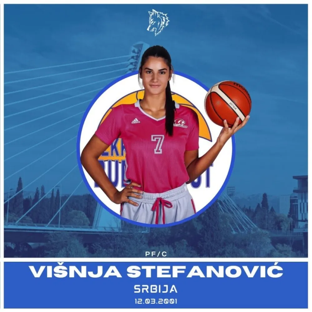 Vi&scaron;nja Stefanović