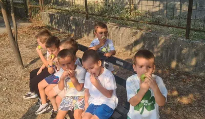 Djeca vrtića &bdquo;Bajka&ldquo; ubrala prve plodove sa svog drveta: Zamirisale jabuke
