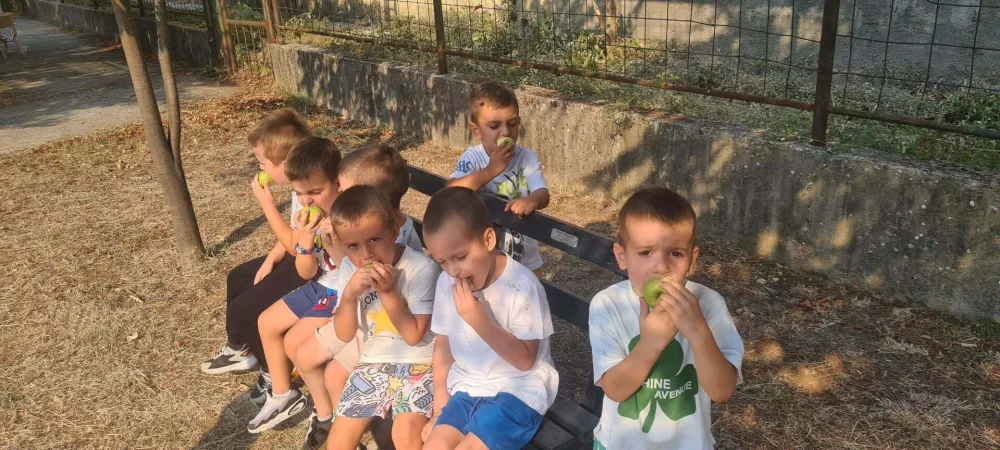 Djeca vrtića &bdquo;Bajka&ldquo; ubrala prve plodove sa svog drveta: Zamirisale jabuke