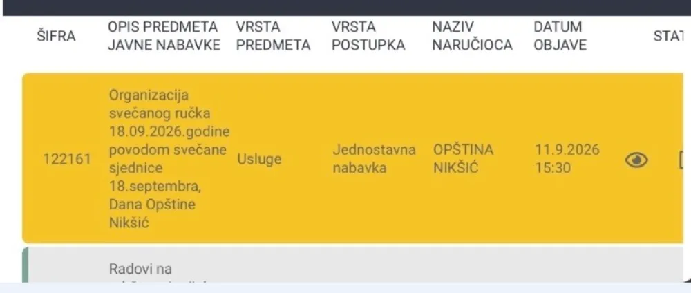 Pozivnice stigle prije tendera - DPS NK