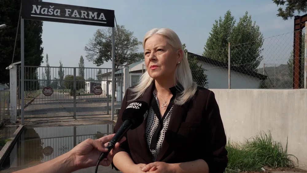 Vesna Daković