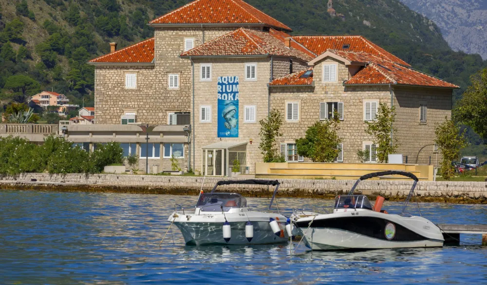 Jadran pod uticajem klimatskih promjena: Toplije more, manje kiseonika i nove vrste