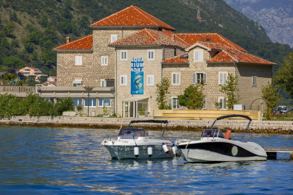 Jadran pod uticajem klimatskih promjena: Toplije more, manje kiseonika i nove vrste