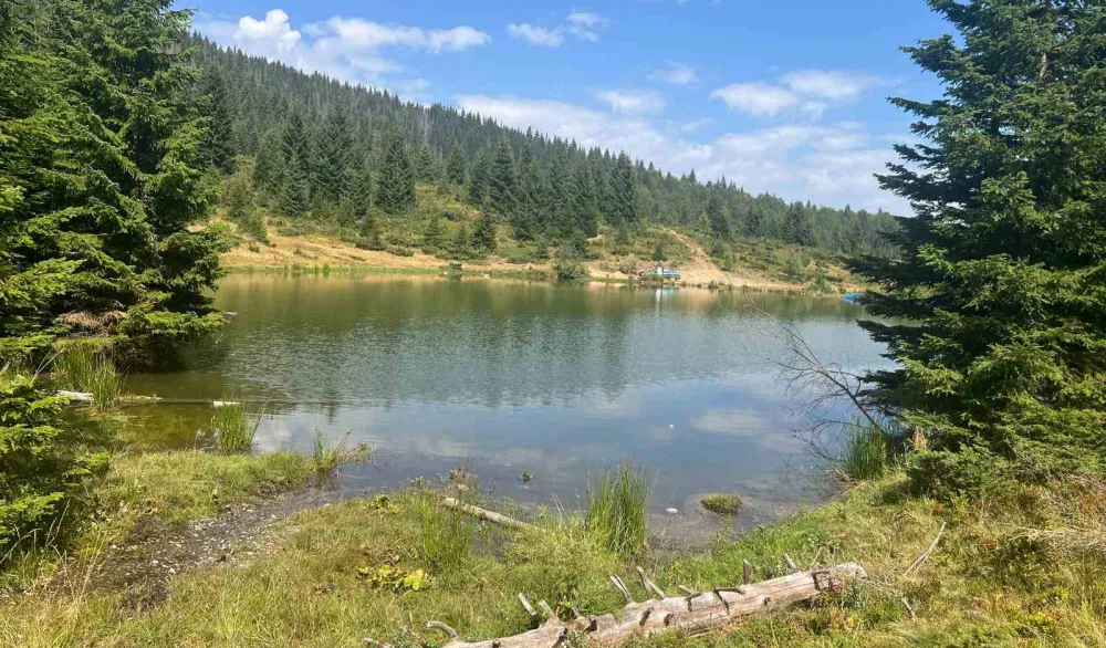 Milutinovo jezero čuva ljepote Gradi&scaron;njice