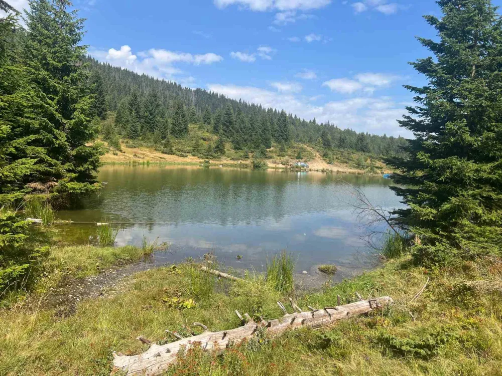 Milutinovo jezero čuva ljepote Gradi&scaron;njice