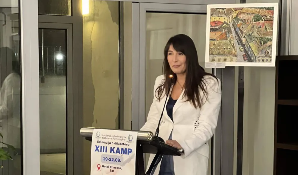 Prevencija, savremena terapija i timski rad za kvalitetniji život dijabetičara