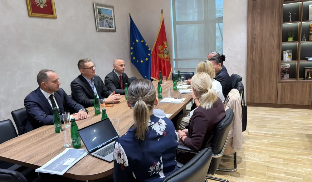 &Scaron;ahmanović sa ambasadorkom &Scaron;vedske