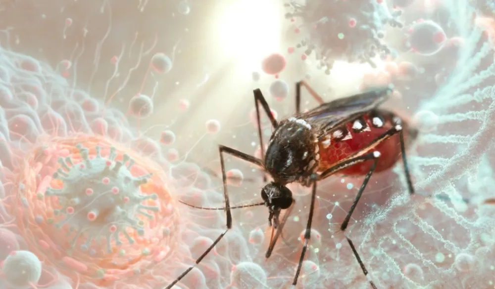 Zapadni nil, virus