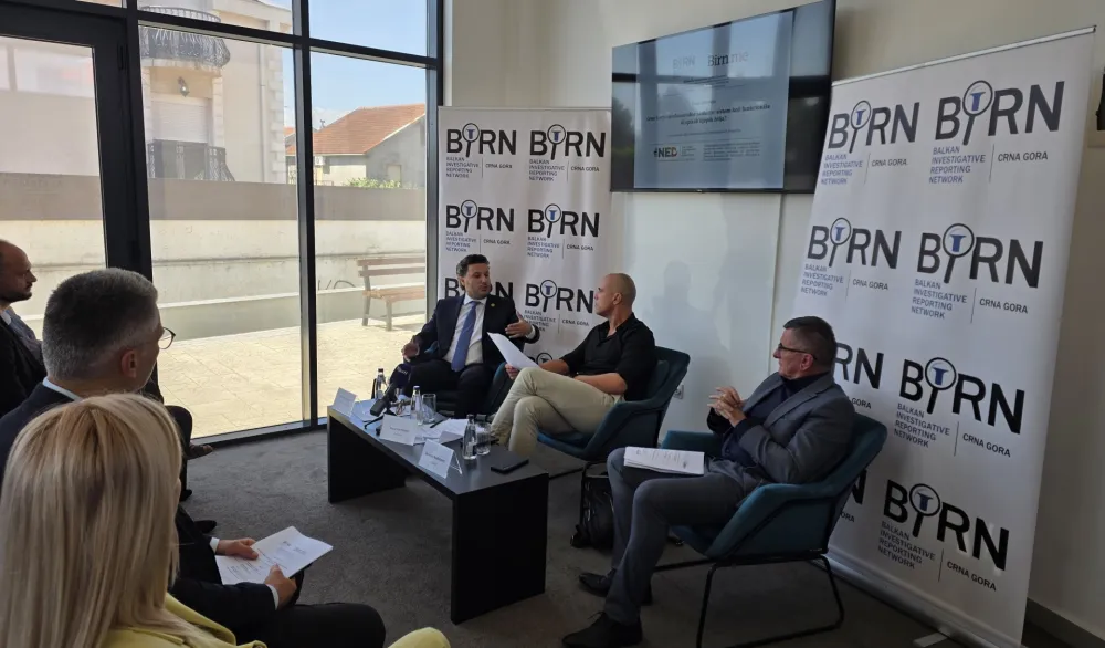 BIRN panel