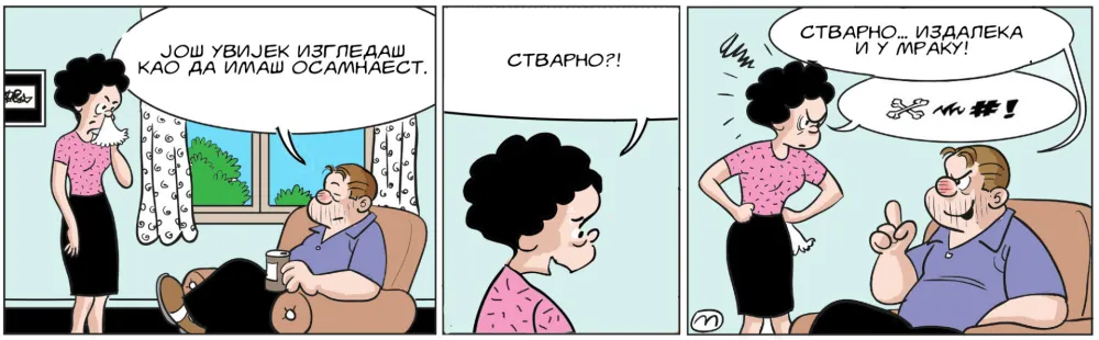 Strip Dana - Autor: Mirko Zulić