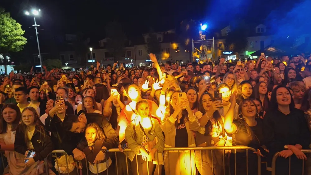Koncert Nik&scaron;ić, publika