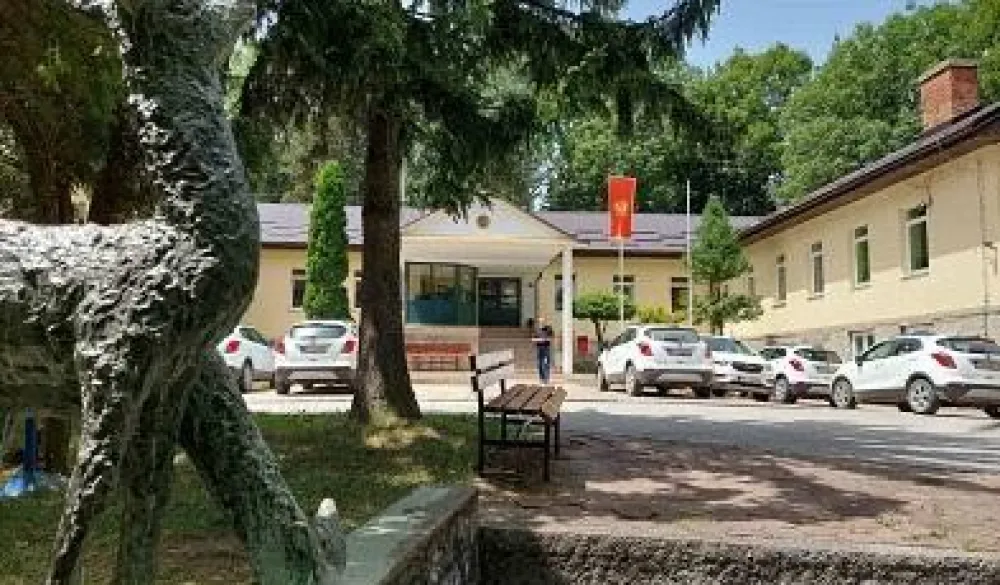Za direktora preduzeća "Crna Gora &scaron;ume" dovoljna bečelor diploma
