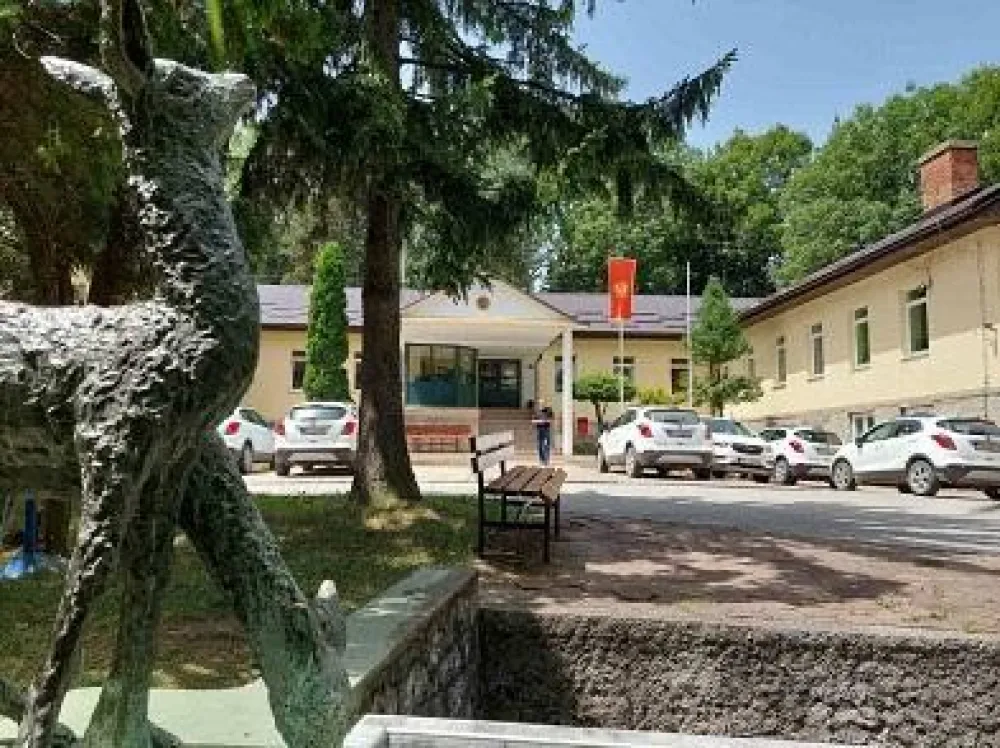 Za direktora preduzeća "Crna Gora &scaron;ume" dovoljna bečelor diploma