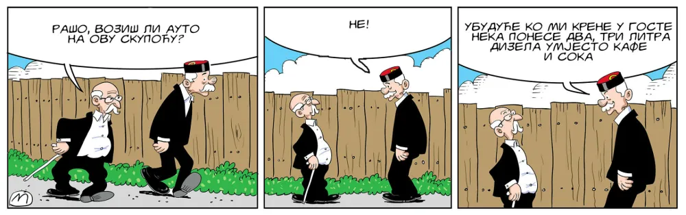 Strip Dana - Autor: Mirko Zulić