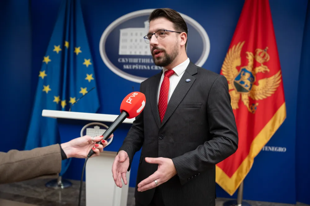 Miličić: Mandić nije planirao put u Brisel, fokusiran je na usvajanje drugog paketa ustavnih reformi
