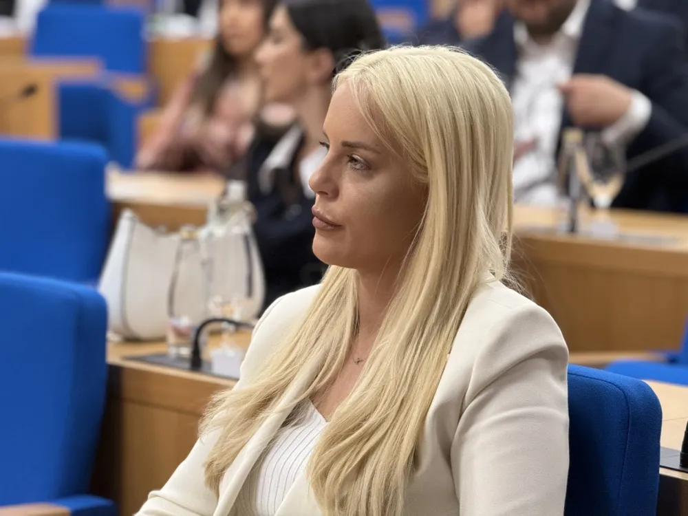 Ljiljanić: Pitanje svih pitanja da li će Skup&scaron;tina usvojiti budžet